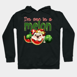 I'm one in a melon Hoodie